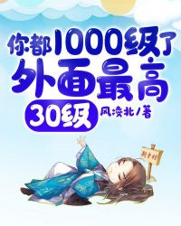 你都1000级了，外面最高30级