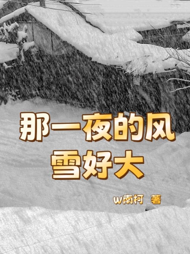 那一夜的风雪好大